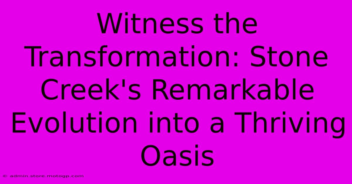 Witness The Transformation: Stone Creek's Remarkable Evolution Into A Thriving Oasis