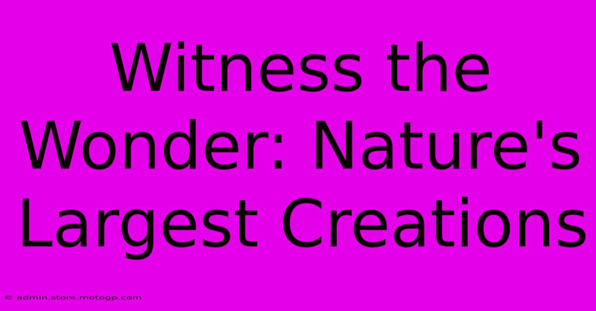 Witness The Wonder: Nature's Largest Creations