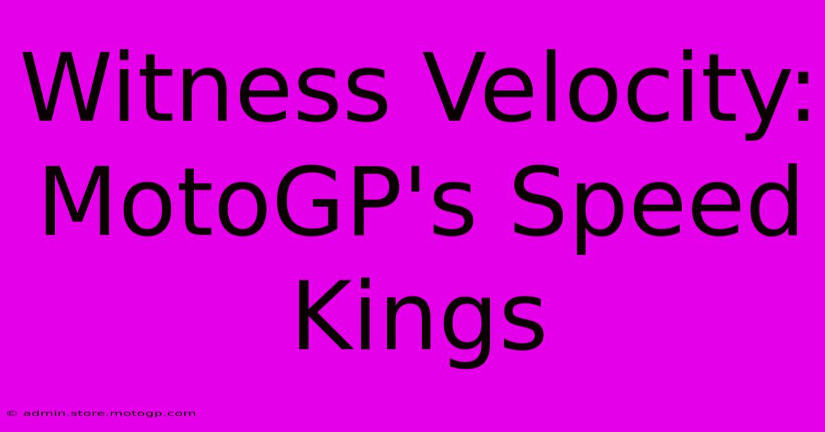 Witness Velocity: MotoGP's Speed Kings