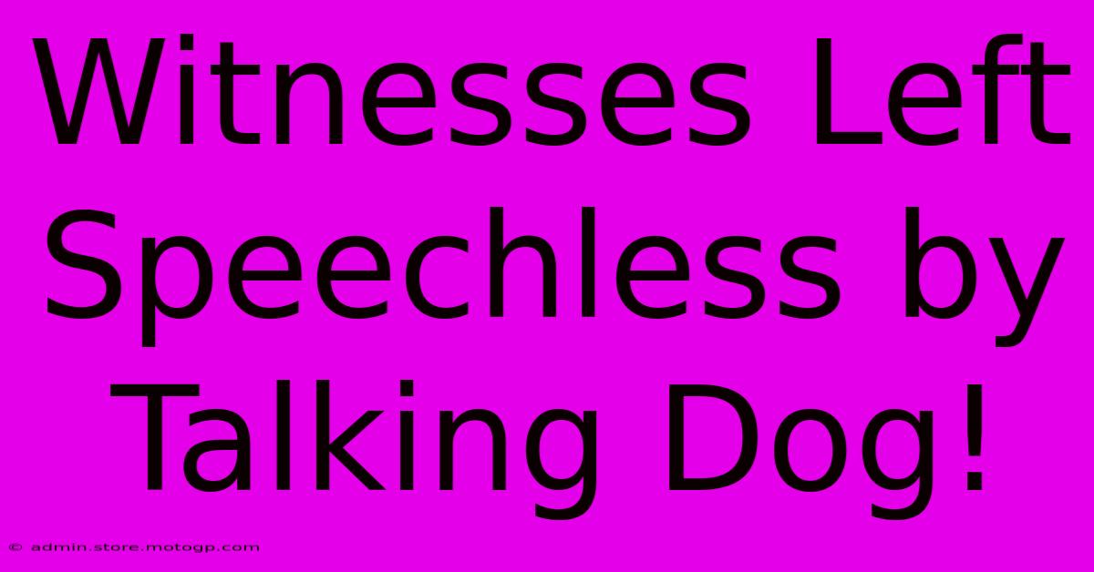 Witnesses Left Speechless By Talking Dog!