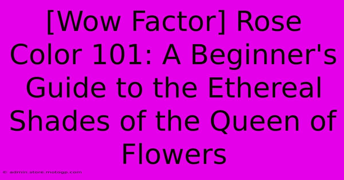 [Wow Factor] Rose Color 101: A Beginner's Guide To The Ethereal Shades Of The Queen Of Flowers