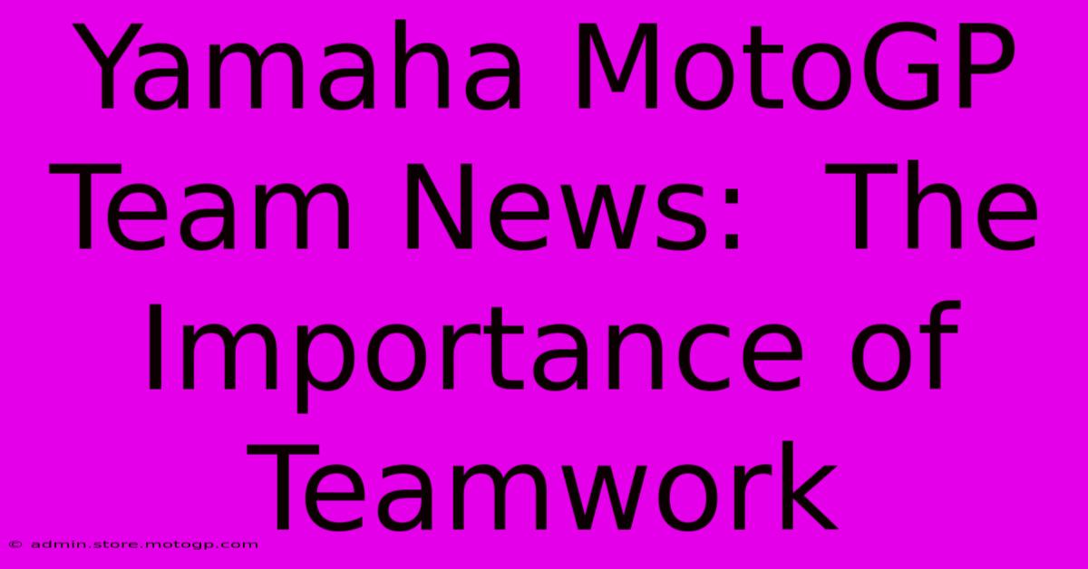 Yamaha MotoGP Team News:  The Importance Of Teamwork