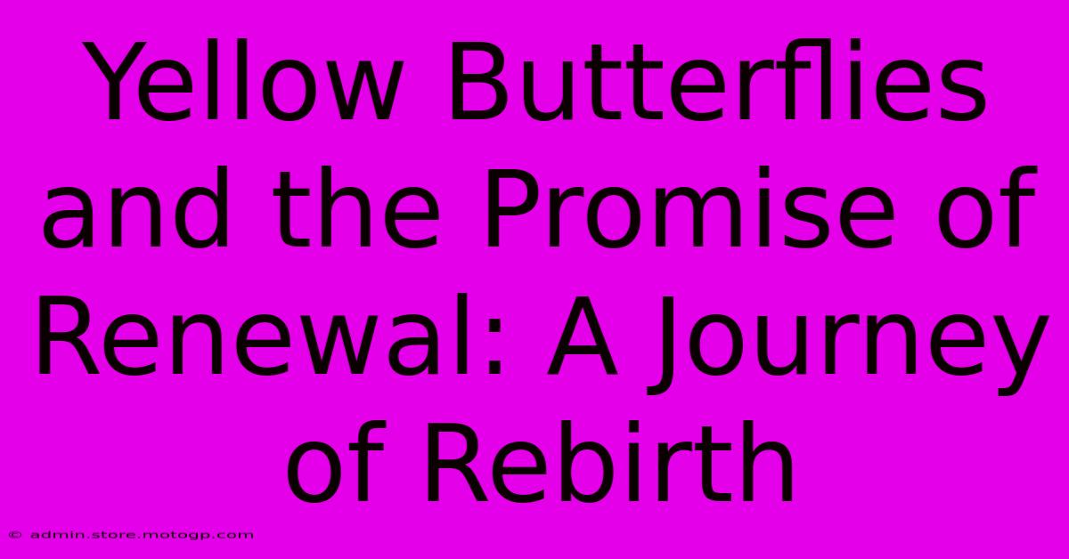 Yellow Butterflies And The Promise Of Renewal: A Journey Of Rebirth