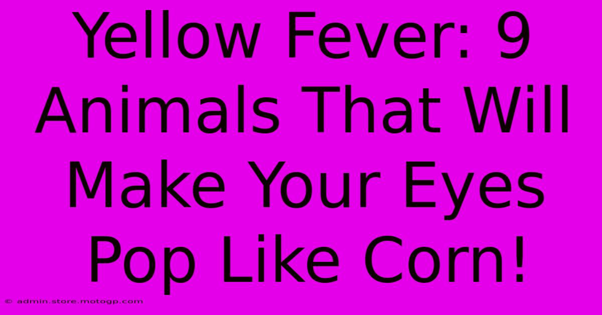 Yellow Fever: 9 Animals That Will Make Your Eyes Pop Like Corn!