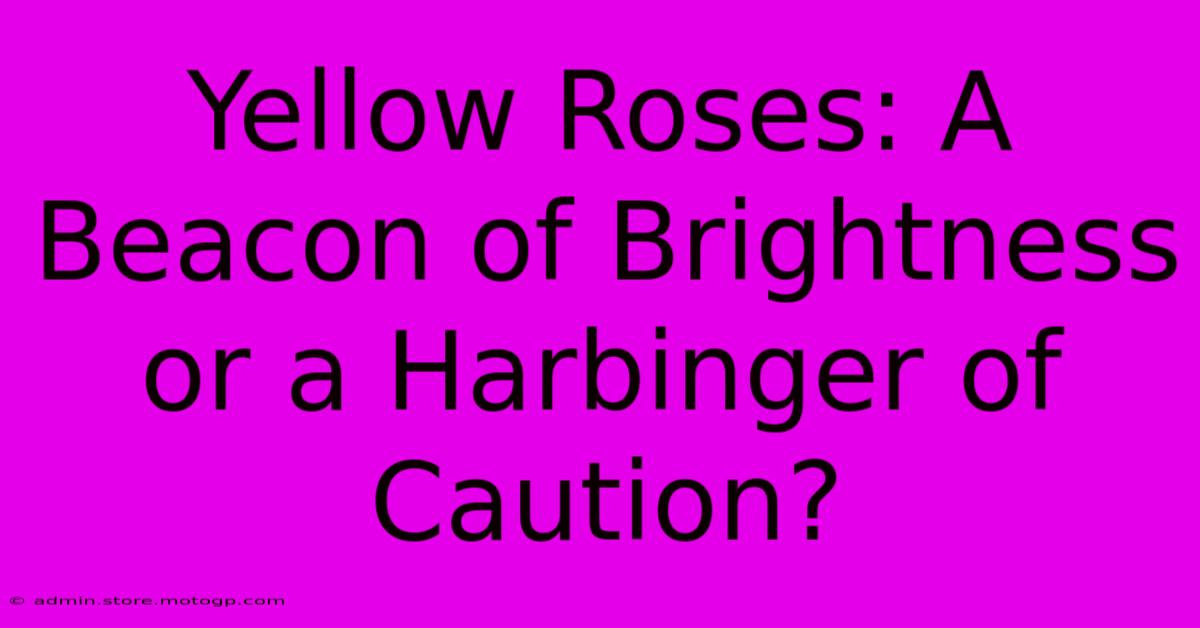 Yellow Roses: A Beacon Of Brightness Or A Harbinger Of Caution?