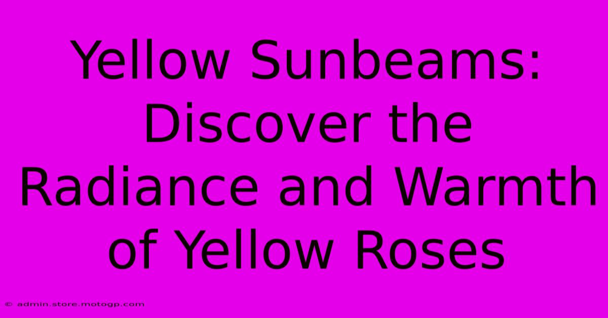 Yellow Sunbeams: Discover The Radiance And Warmth Of Yellow Roses