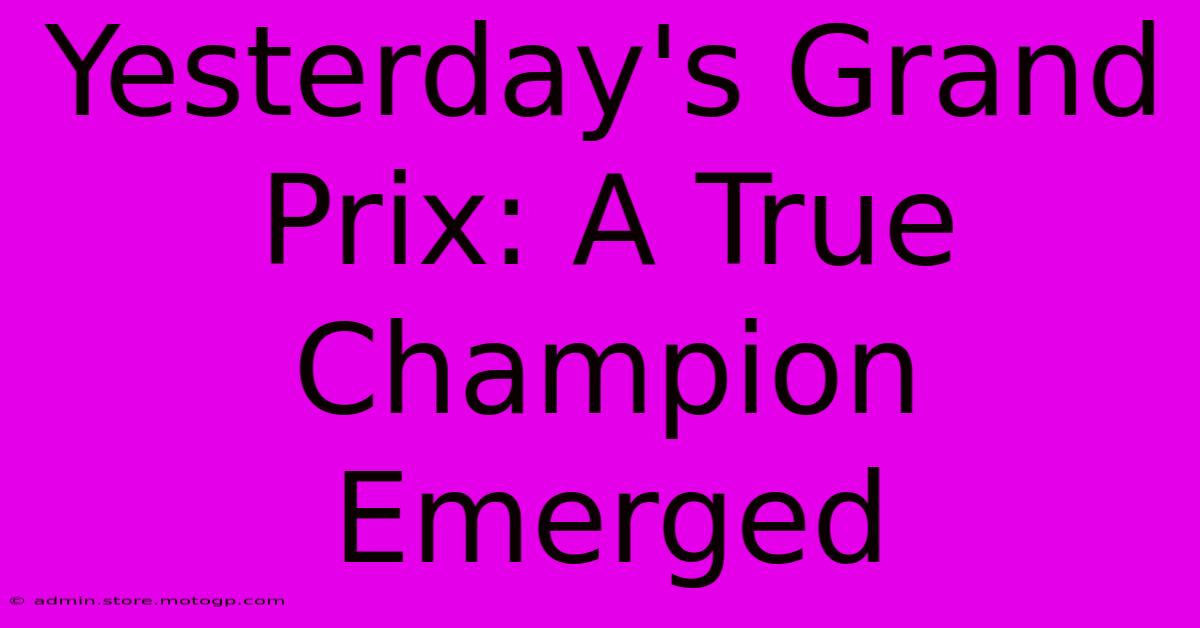 Yesterday's Grand Prix: A True Champion Emerged