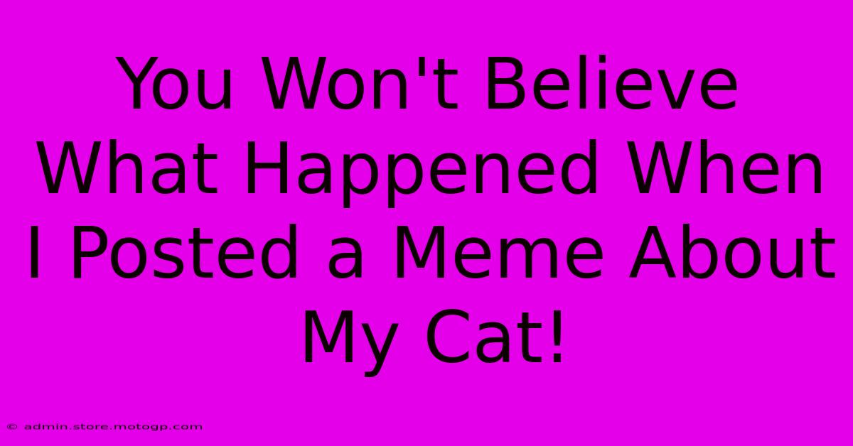 You Won't Believe What Happened When I Posted A Meme About My Cat!