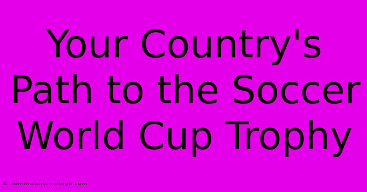 Your Country's Path To The Soccer World Cup Trophy