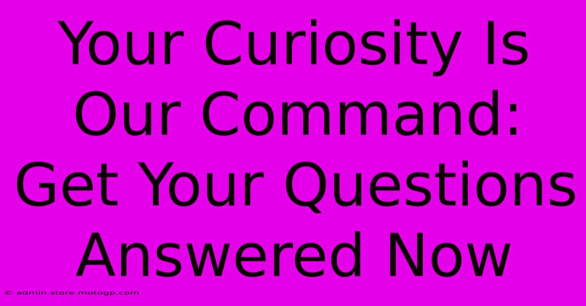 Your Curiosity Is Our Command: Get Your Questions Answered Now