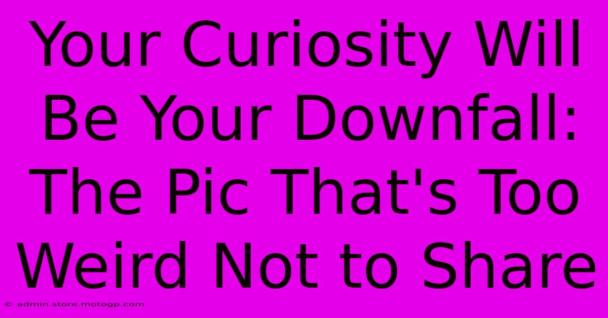 Your Curiosity Will Be Your Downfall: The Pic That's Too Weird Not To Share