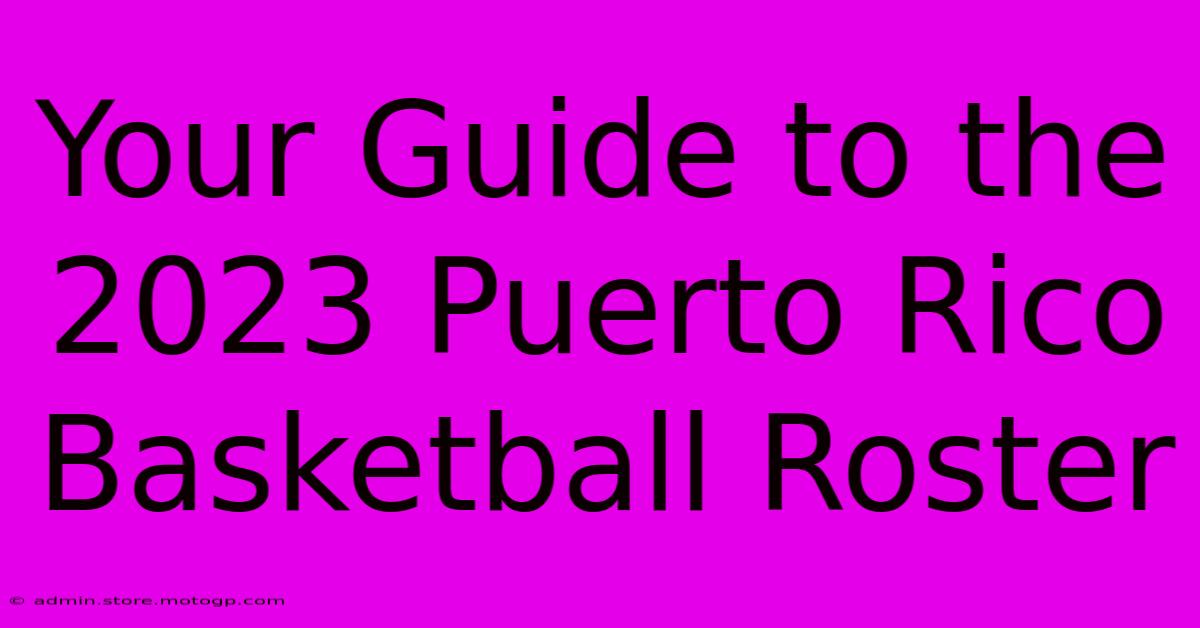 Your Guide To The 2023 Puerto Rico Basketball Roster