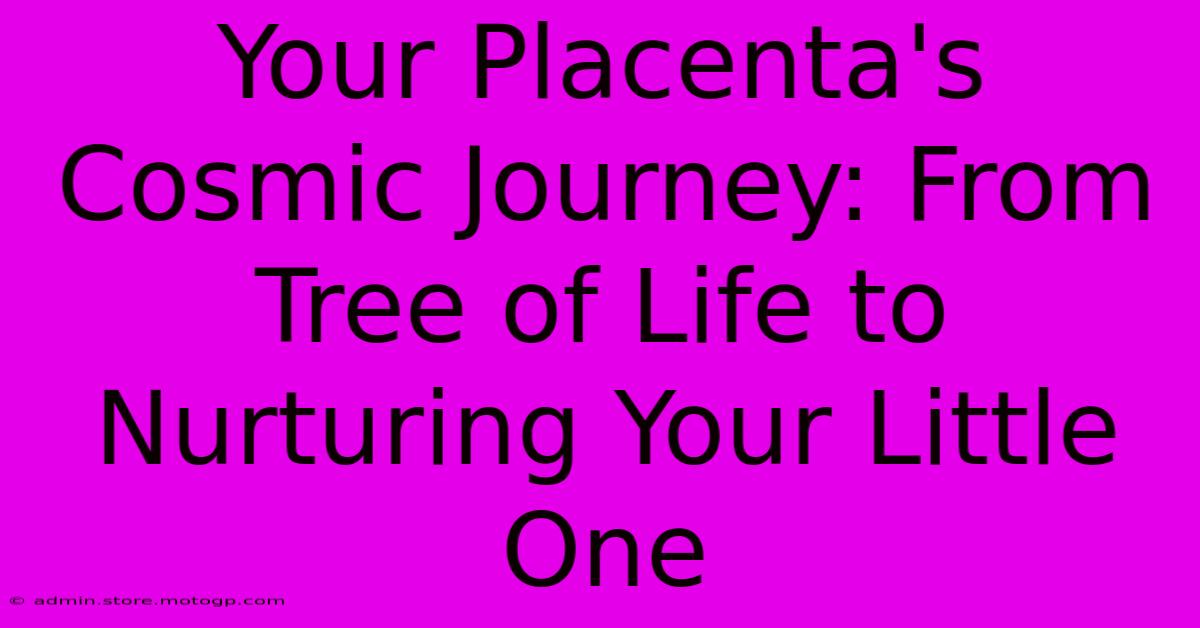 Your Placenta's Cosmic Journey: From Tree Of Life To Nurturing Your Little One