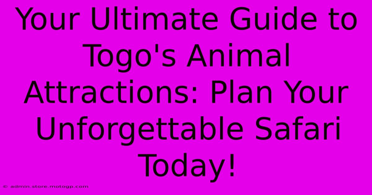 Your Ultimate Guide To Togo's Animal Attractions: Plan Your Unforgettable Safari Today!