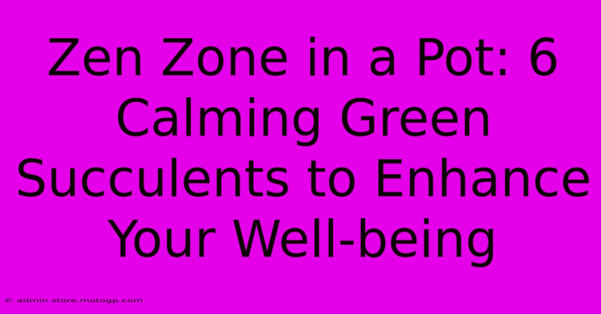 Zen Zone In A Pot: 6 Calming Green Succulents To Enhance Your Well-being